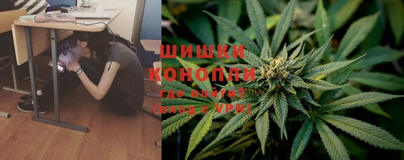 Шишки марихуана OG Kush  Сосновка 